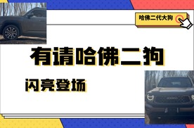 你还是我忠实的伙伴吗？步履狂飙话二代大狗