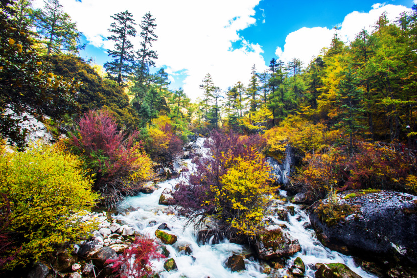 驾丰田雷凌游稻城亚丁（下）——高原极限徒步赏最美雪山