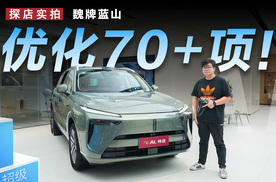 魏牌蓝山又双叒叕OTA，70+项优化提升用车体验