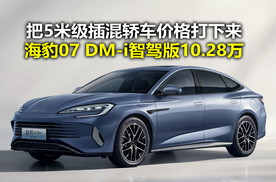 10.28万买5米级插混轿车？海豹07DM-i智驾版推一口价政策