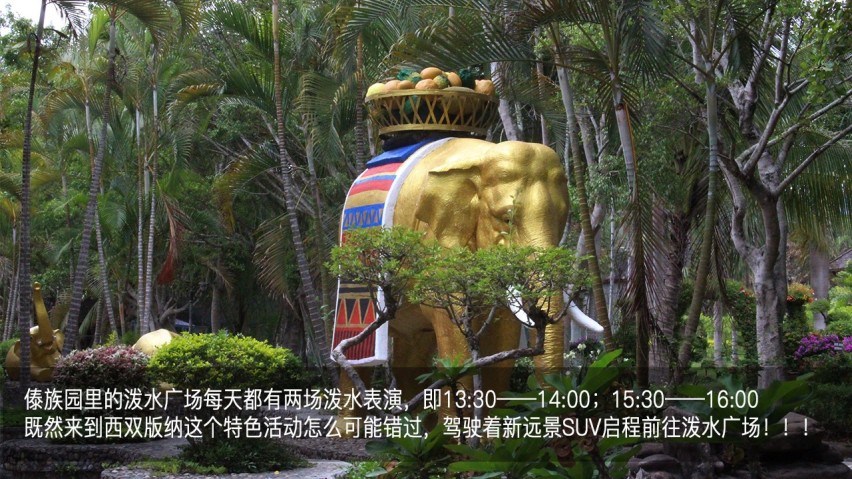 吉利幸福花田测和初恋的夏天—彩云之南西双版纳