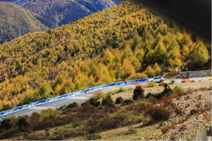 和全新一代奇骏一起去川西探秋！找寻雪山五彩林