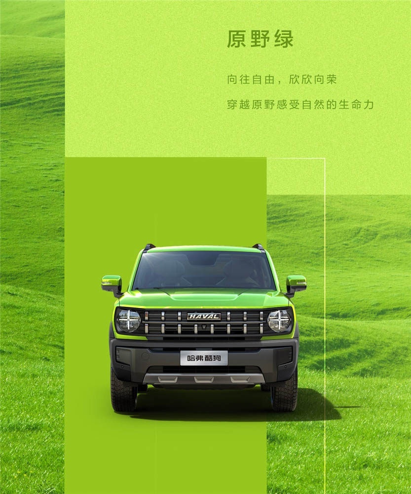 哈弗第二条“狗”！2.0T +四驱，键盘侠：舔狗同款原谅绿车漆