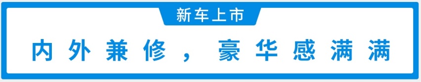 自主最强1.6T！9.99万起这款SUV豪华感满满，能火？