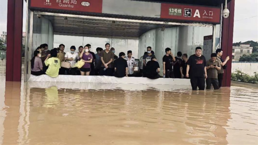 提醒：近期会出现很多美女自用、无事故、泡水二手车