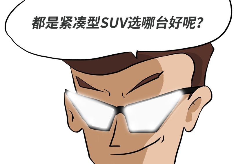 都是10万出头 这2台很有个性的SUV谁更值得入手？