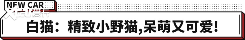 6万出头 续航405km 这款欧拉黑白猫是小姐姐的最爱！