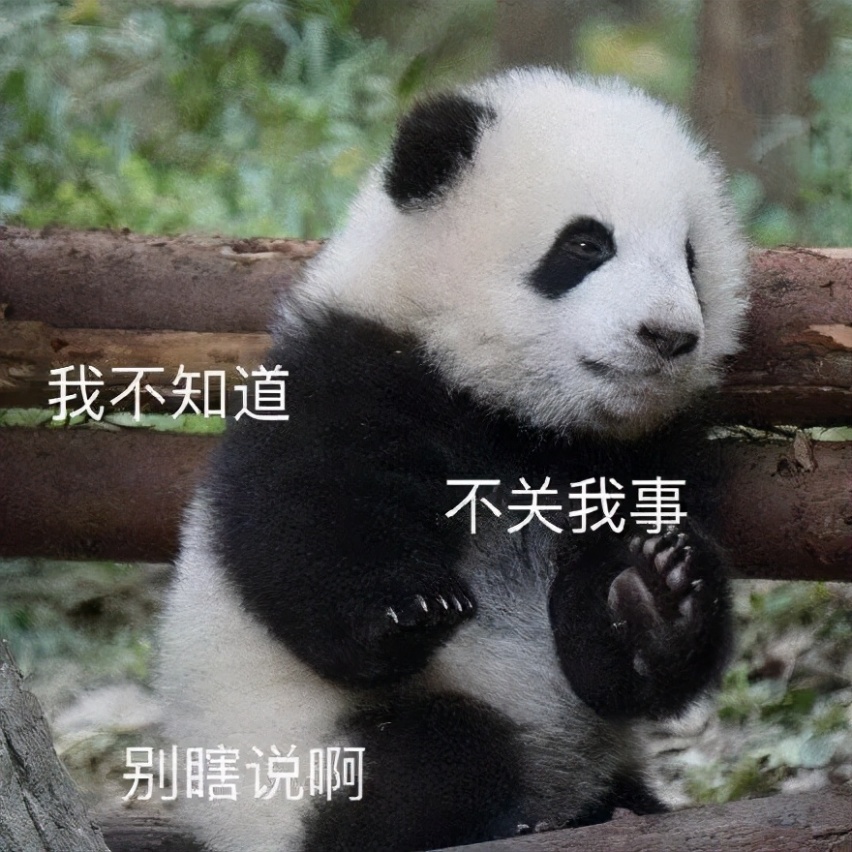 上海车展｜珍爱生命，远离特斯拉