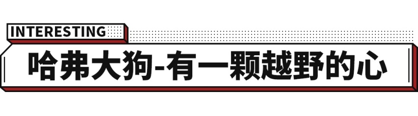 完全不同风格的全新SUV，11万起肯定有你喜欢的！