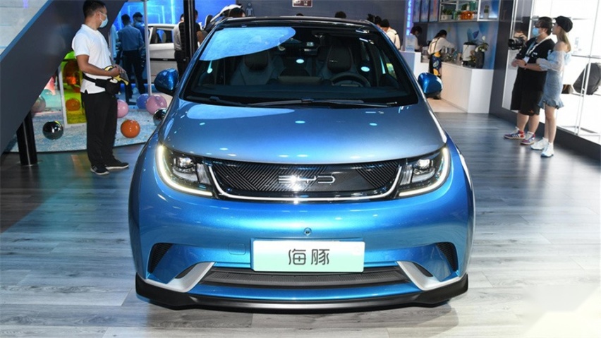 比亚迪海豚年养车6千元，其中2/3是保费，专属保险很贵？