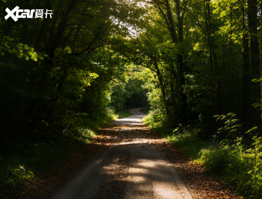 中国新能汽车主赛道上 “关键先生”的战争