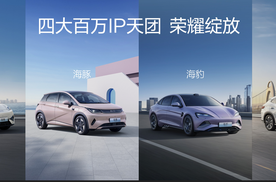 4年累计销量600万辆，只有中国只有比亚迪