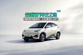 全球百万车主之选 海鸥智驾版限时一口价最低5.58万
