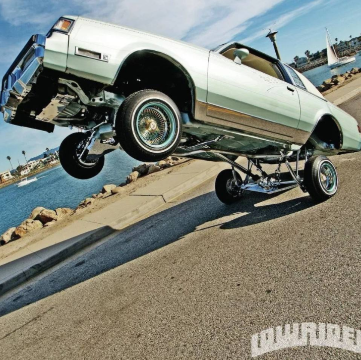 lowriderjeans图片