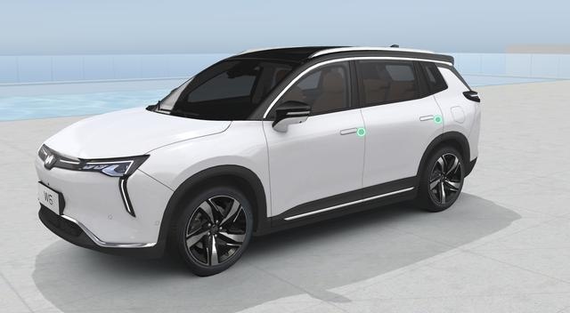 可无人自主泊车，20万元买威马W6，哪款更值得买？