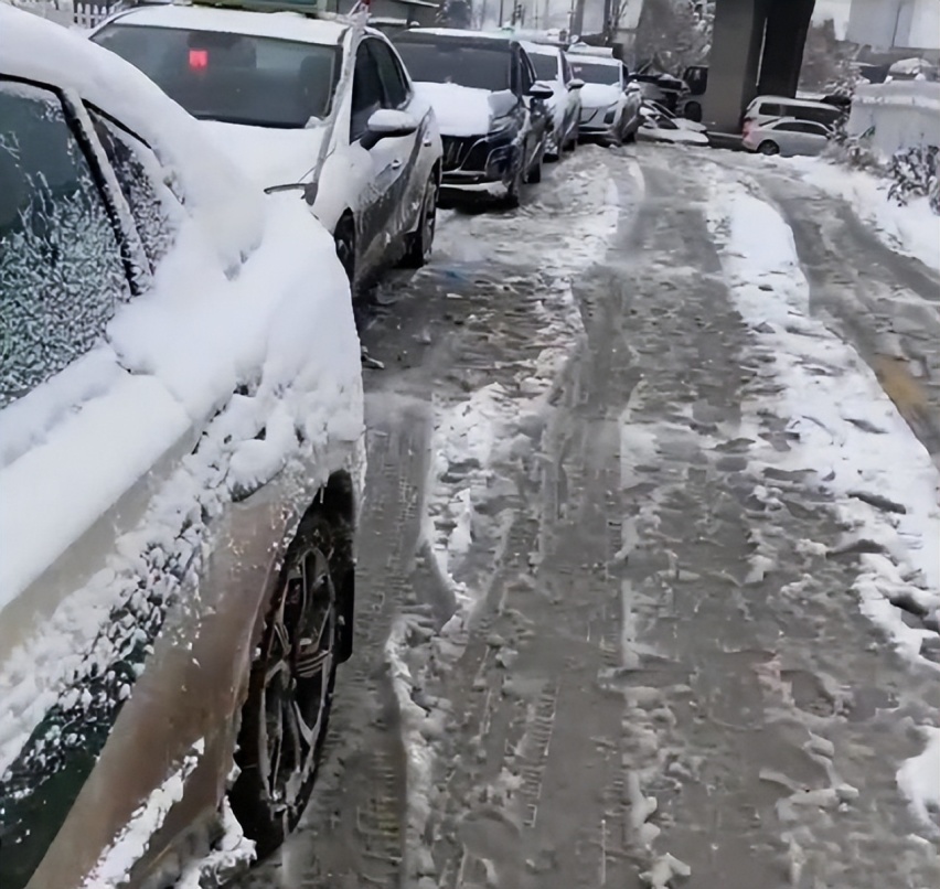东北下的一场雨夹雪，让电动汽车“原形毕露”？车主：有苦难言