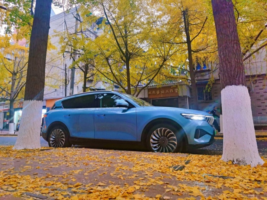 目光所及皆是豪华，跨级驾乘，试驾岚图FREE长续航版