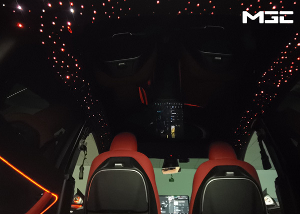 MODELY/3又简配了？ 特斯拉顶棚个性化升级