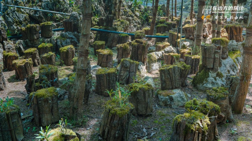 阿伦的贵州自驾山水图集和路线攻略（上）