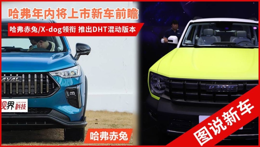 头图.jpg
