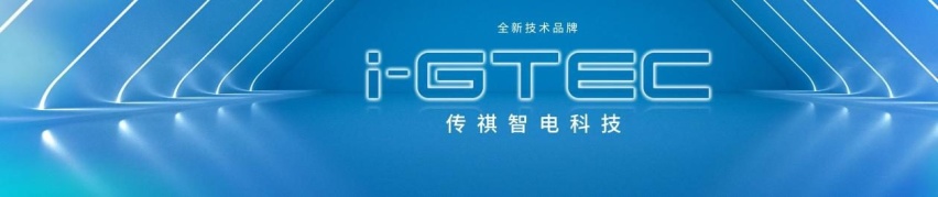 传祺E8正式交付 传祺新能源E8交付派对满爱黄埔江畔