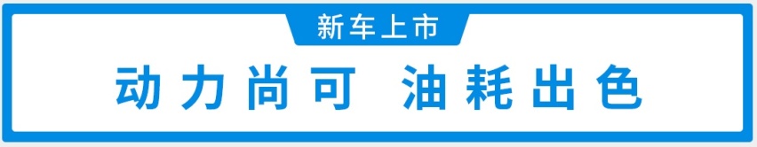 终身免费基础保养！4米8国产SUV上市，14.99万起