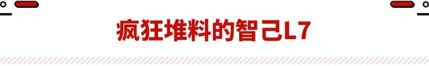 30万就能买的高颜值车型！要啥有啥 高级感满满！