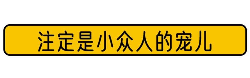 17万起！这款品质兼优的马自达CX-5，到底怎样？