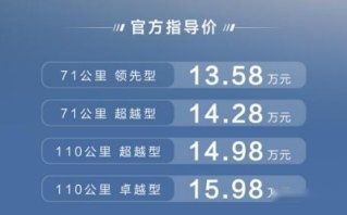 买了不后悔：比亚迪在长举办宋Pro DM-i冠军版品鉴及交车仪式