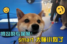 本修勾的专属展！smart 太懂小狗了