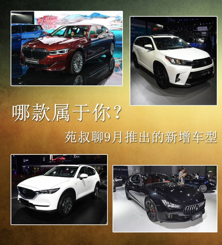 都是为了性价比，哪款属于你？苑叔聊9月推出的新增车型