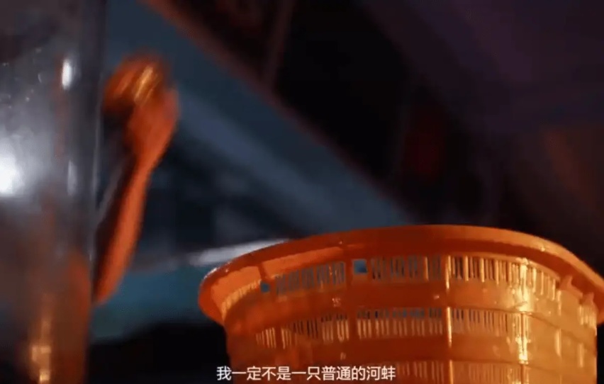 比亚迪影业公司再次“开张”，河蚌青年历险记赢得年轻人喜爱