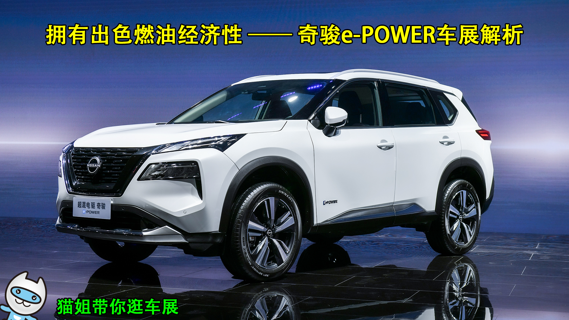 ӵ�г�ɫȼ�;����� �濥e-POWER��չ����