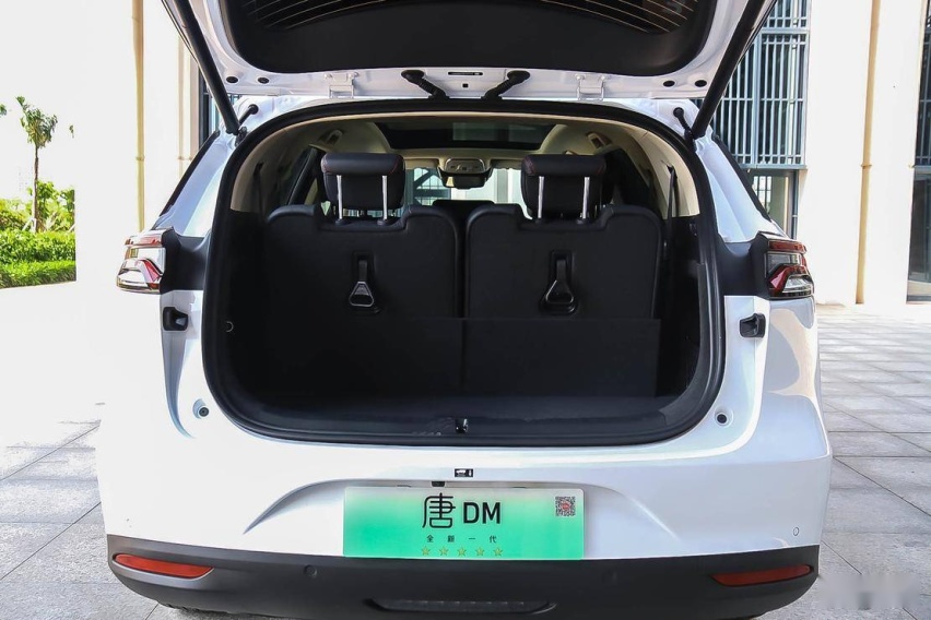 TDM-107.jpg