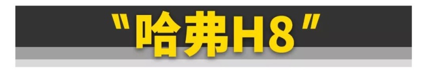 11款刚上市就“凉凉”的车，大众占了俩