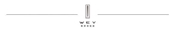 魏牌蓝山“大六座舒适电动SUV”上市发布会-保定站 圆满落幕