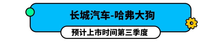 哈弗新车定名大狗！2020下半年这6款全新SUV必须等