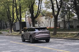 车友圈炸了，都在讨论这台紫色冒险家