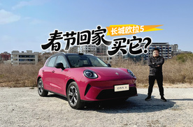 10万预算享30万级驾驶辅助？春节回家买长城欧拉5真的值吗？