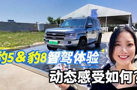 豹5&豹8智驾体验动态感受如何?