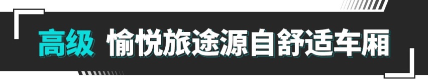 和ARIYA艾睿雅一起吃遍大湾区！放心且踏实，不虚此行！