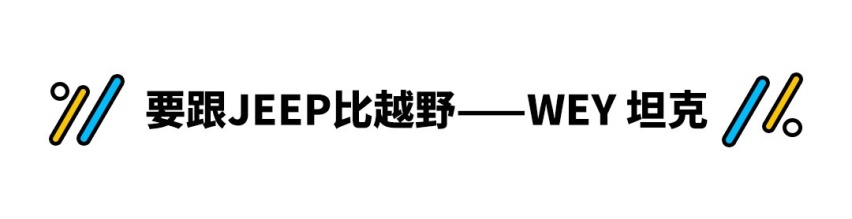 动力比本田还强！这些中国品牌超良心 堪比丰田本田特斯拉！