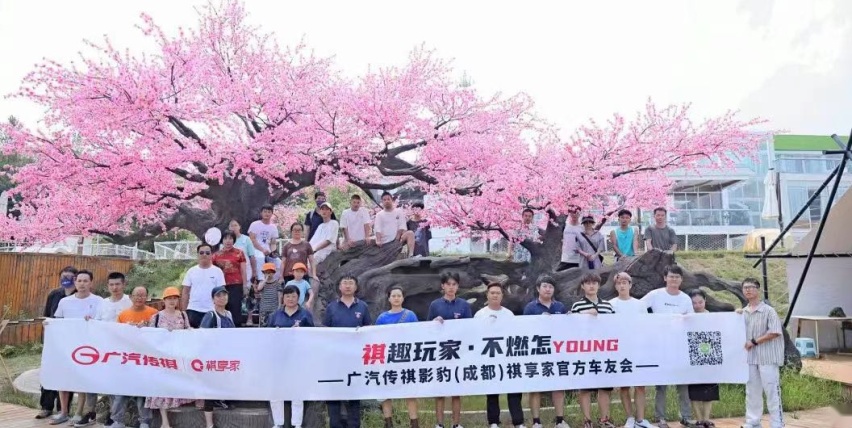 中国人有自己的运动型轿车，无需30万，15万即可拥有