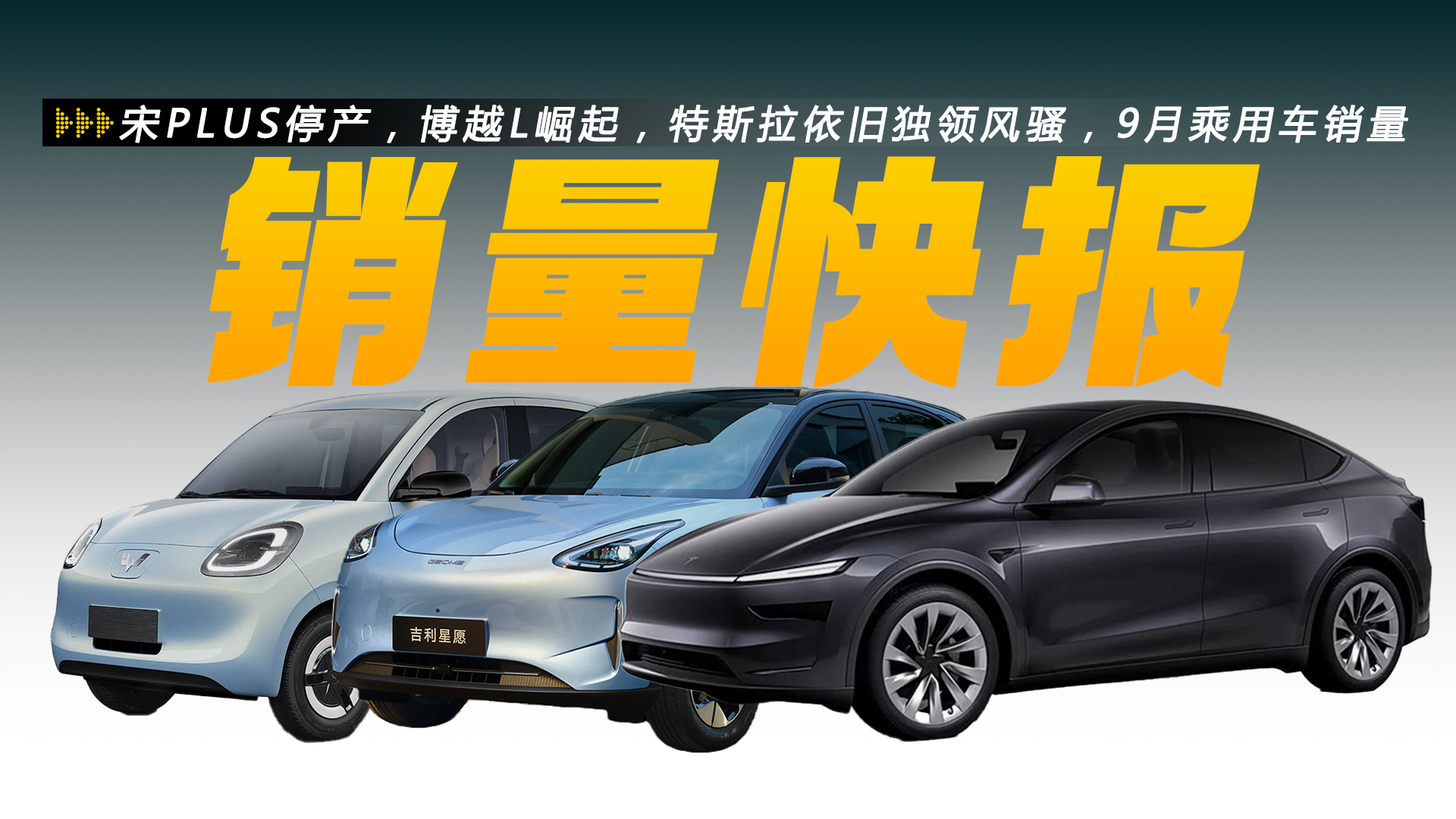 ��PLUSͣ�a����ԽL������˹�����f���I�L�}��9�³���܇�N�����