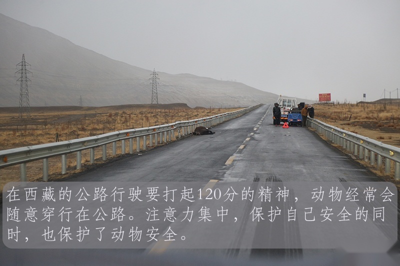于无声处的震撼  随长城炮探珠峰深处