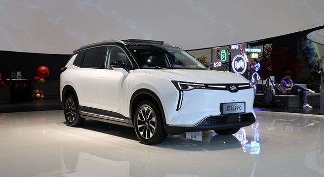 可无人自主泊车，20万元买威马W6，哪款更值得买？
