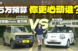 5万内选代步工具？长安Lumin萌宝版对比 熊猫mini耐力熊全面PK！
