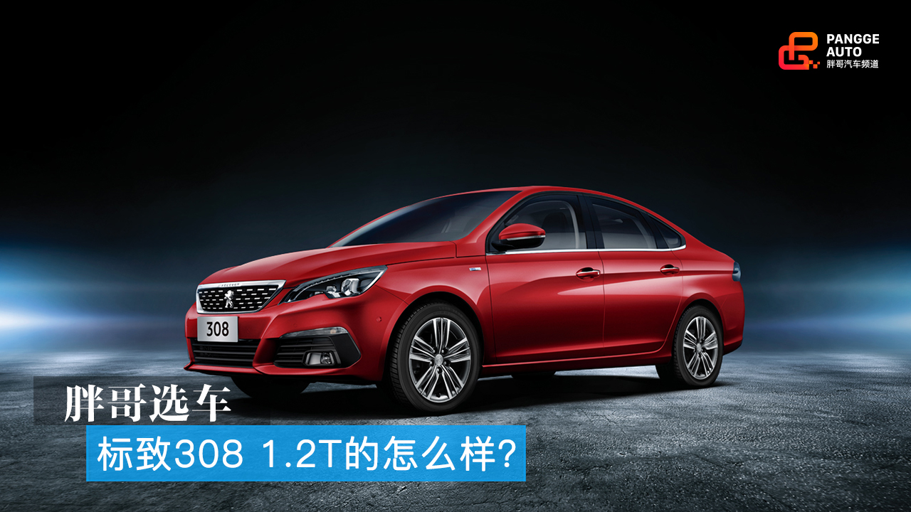 �ָ�ѡ�� 1.2T�ı���308������