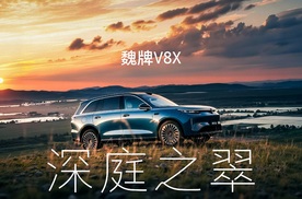 深庭之翠 魏牌V8X