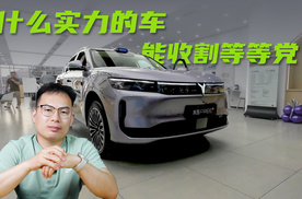什么实力的车能收割等等党？没错，22.99万就能买到岚图FREE+！